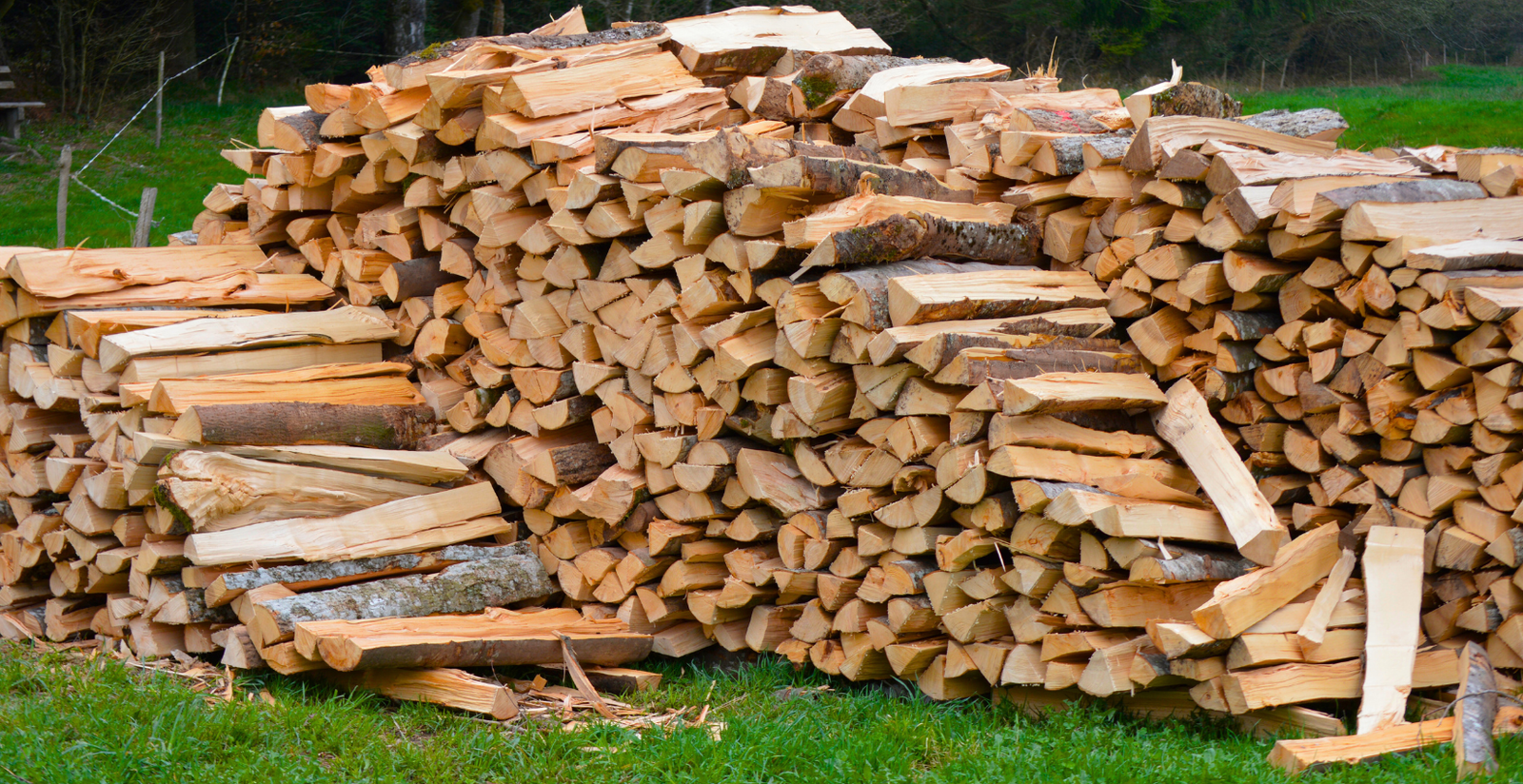 Van het bos naar jouw huis, zonder tussenpersonen.